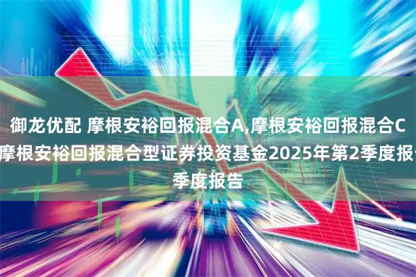 御龙优配 摩根安裕回报混合A,摩根安裕回报混合C: 摩根安裕回报混合型证券投资基金2025年第2季度报告