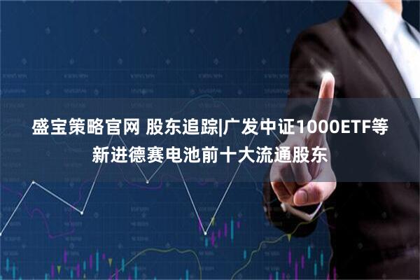 盛宝策略官网 股东追踪|广发中证1000ETF等新进德赛电池前十大流通股东