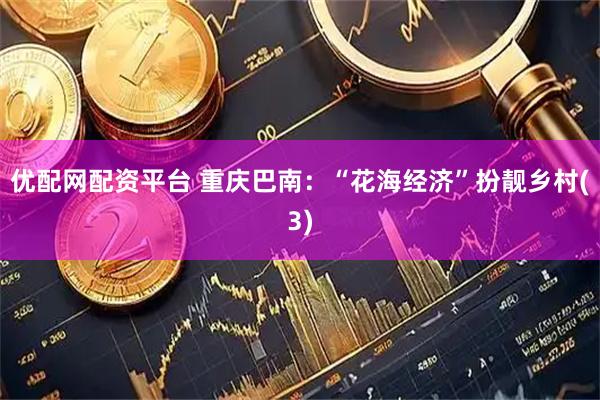 优配网配资平台 重庆巴南：“花海经济”扮靓乡村(3)