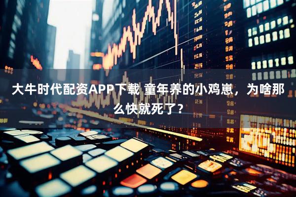大牛时代配资APP下载 童年养的小鸡崽，为啥那么快就死了？